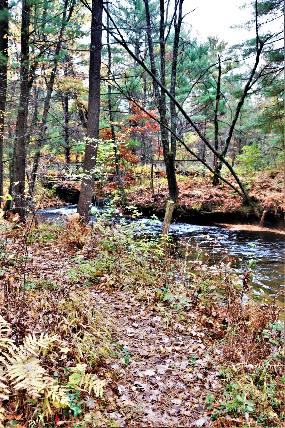 Fort McCoy's Pine View Recreation Area