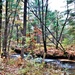 Fort McCoy's Pine View Recreation Area