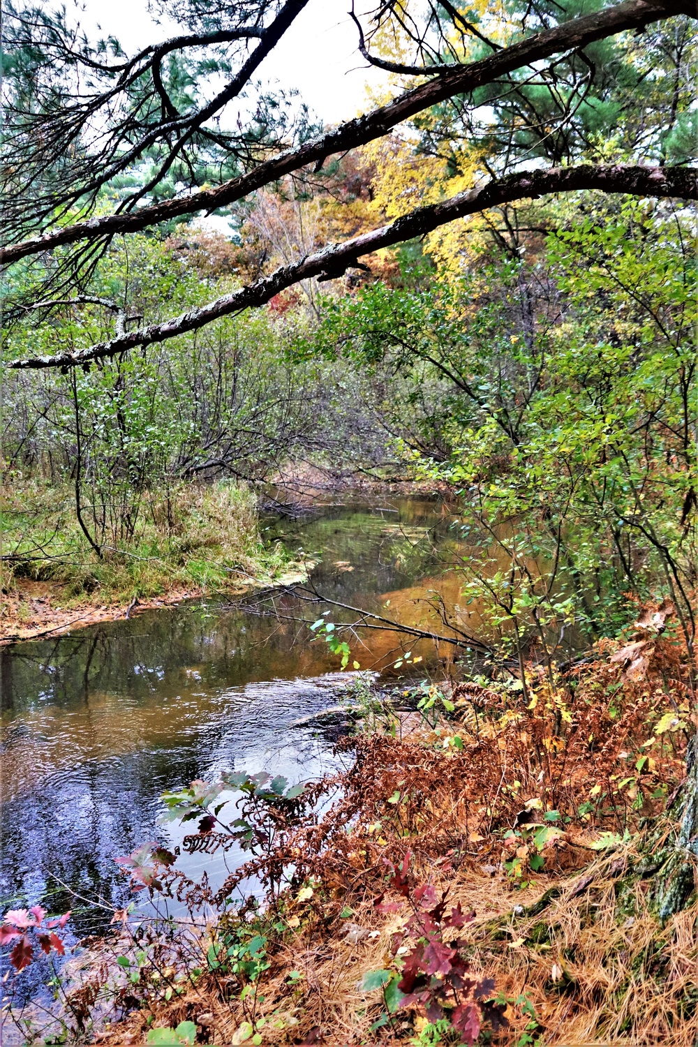 Fort McCoy's Pine View Recreation Area