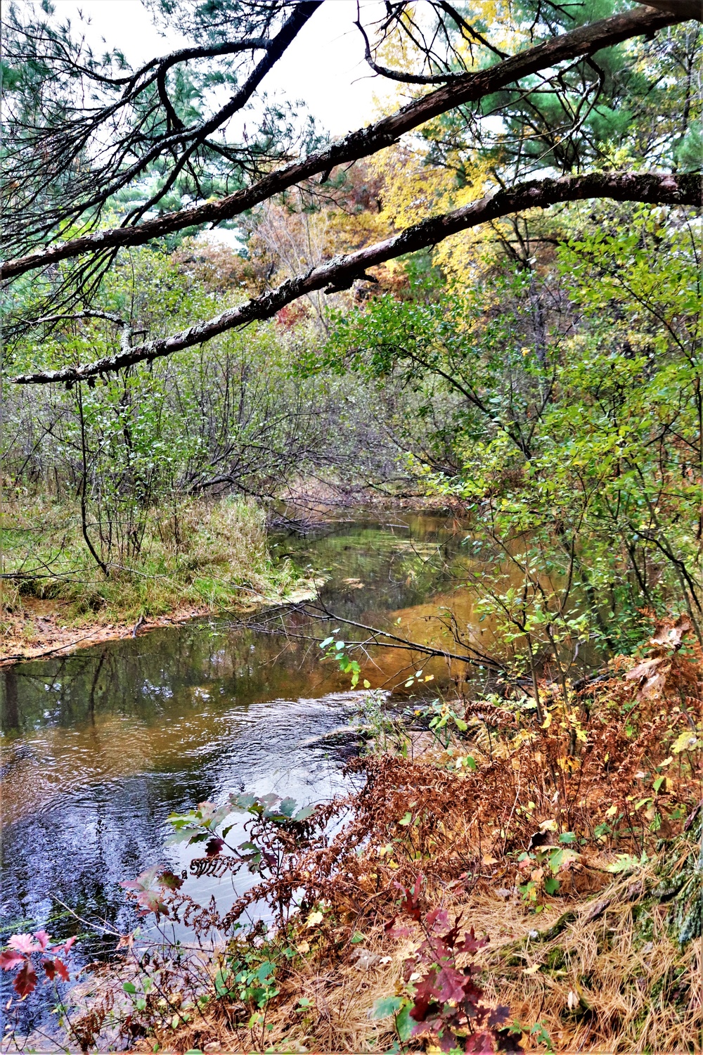 Fort McCoy's Pine View Recreation Area