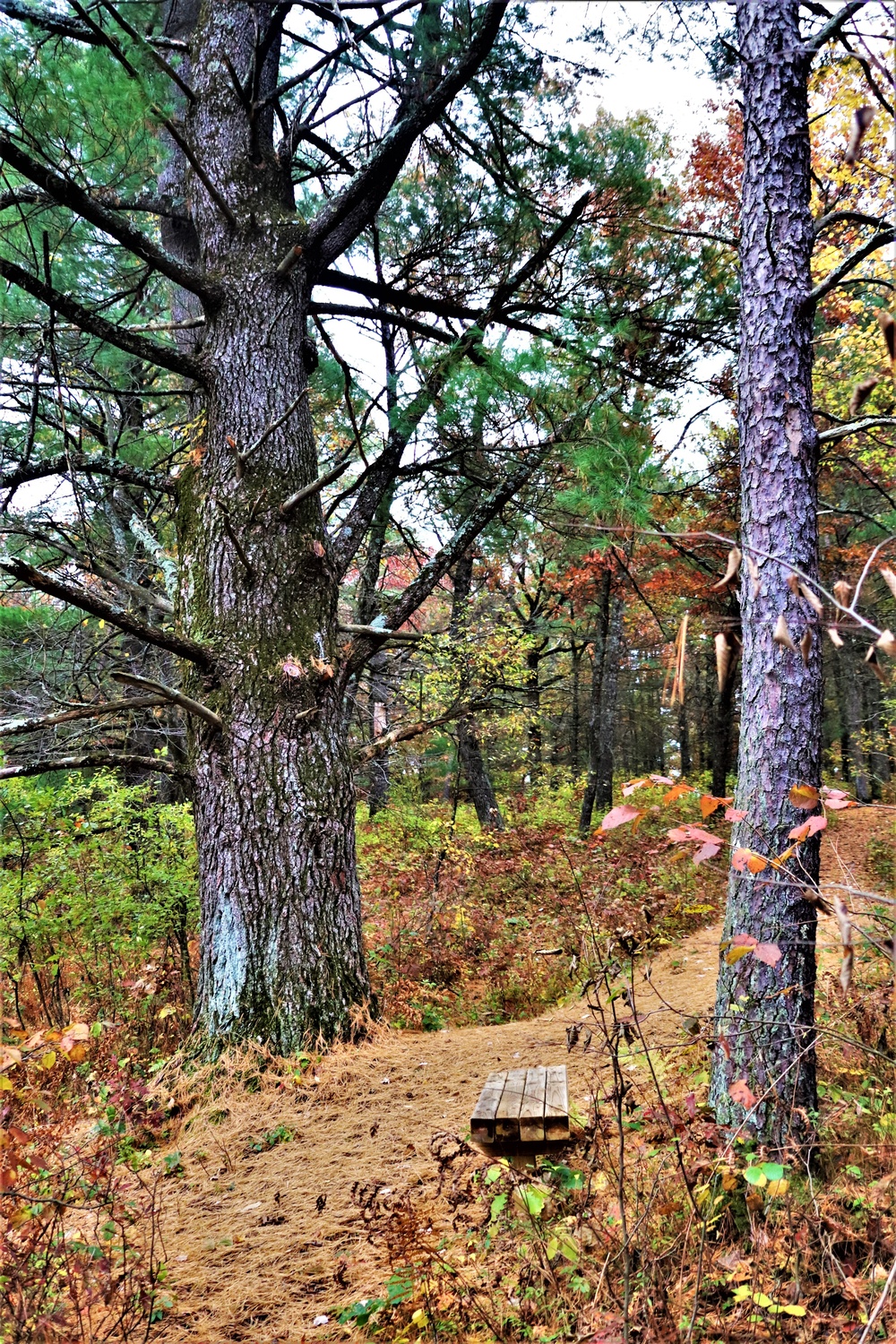 Fort McCoy's Pine View Recreation Area