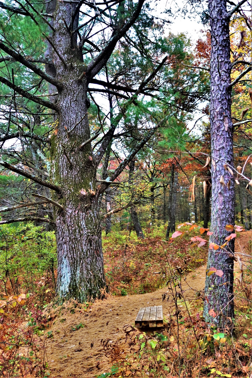 Fort McCoy's Pine View Recreation Area