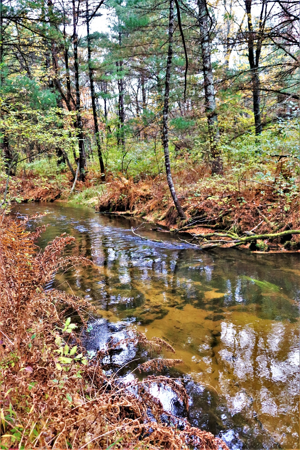 Fort McCoy's Pine View Recreation Area