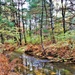 Fort McCoy's Pine View Recreation Area