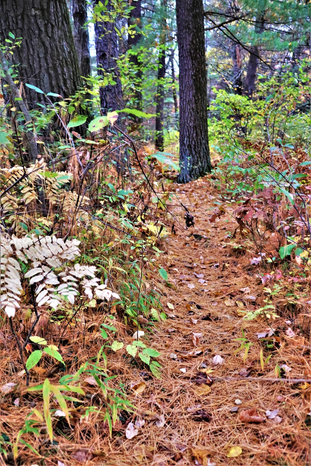 Fort McCoy's Pine View Recreation Area