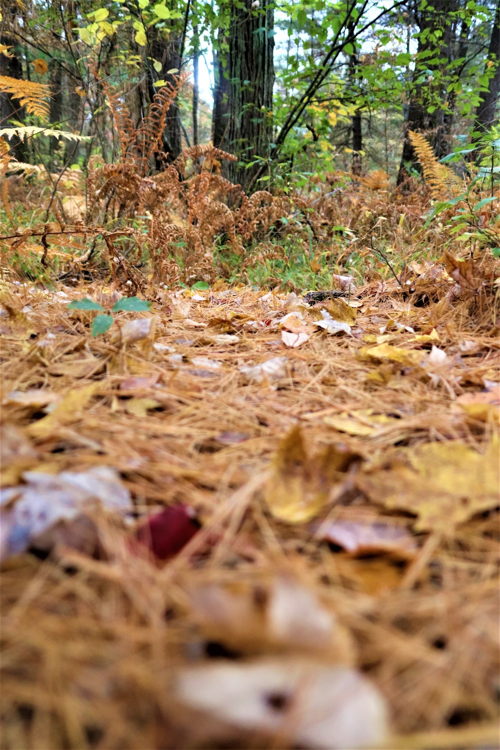 Fort McCoy's Pine View Recreation Area