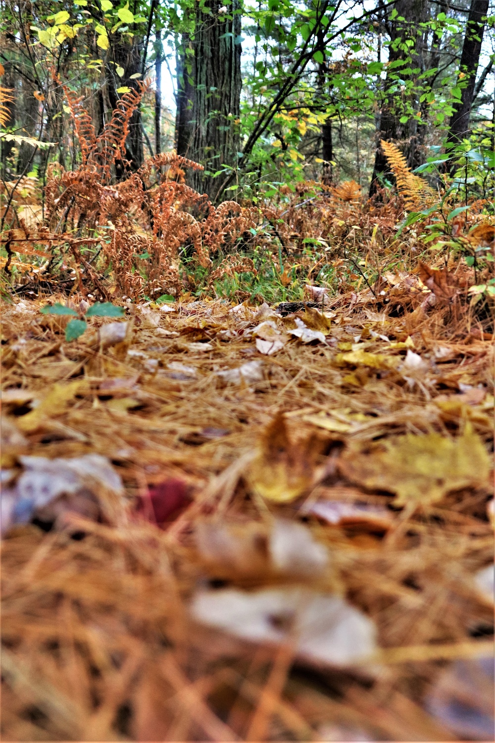 Fort McCoy's Pine View Recreation Area