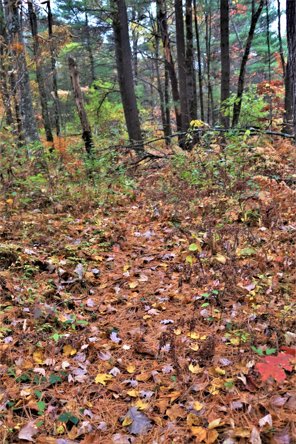 Fort McCoy's Pine View Recreation Area