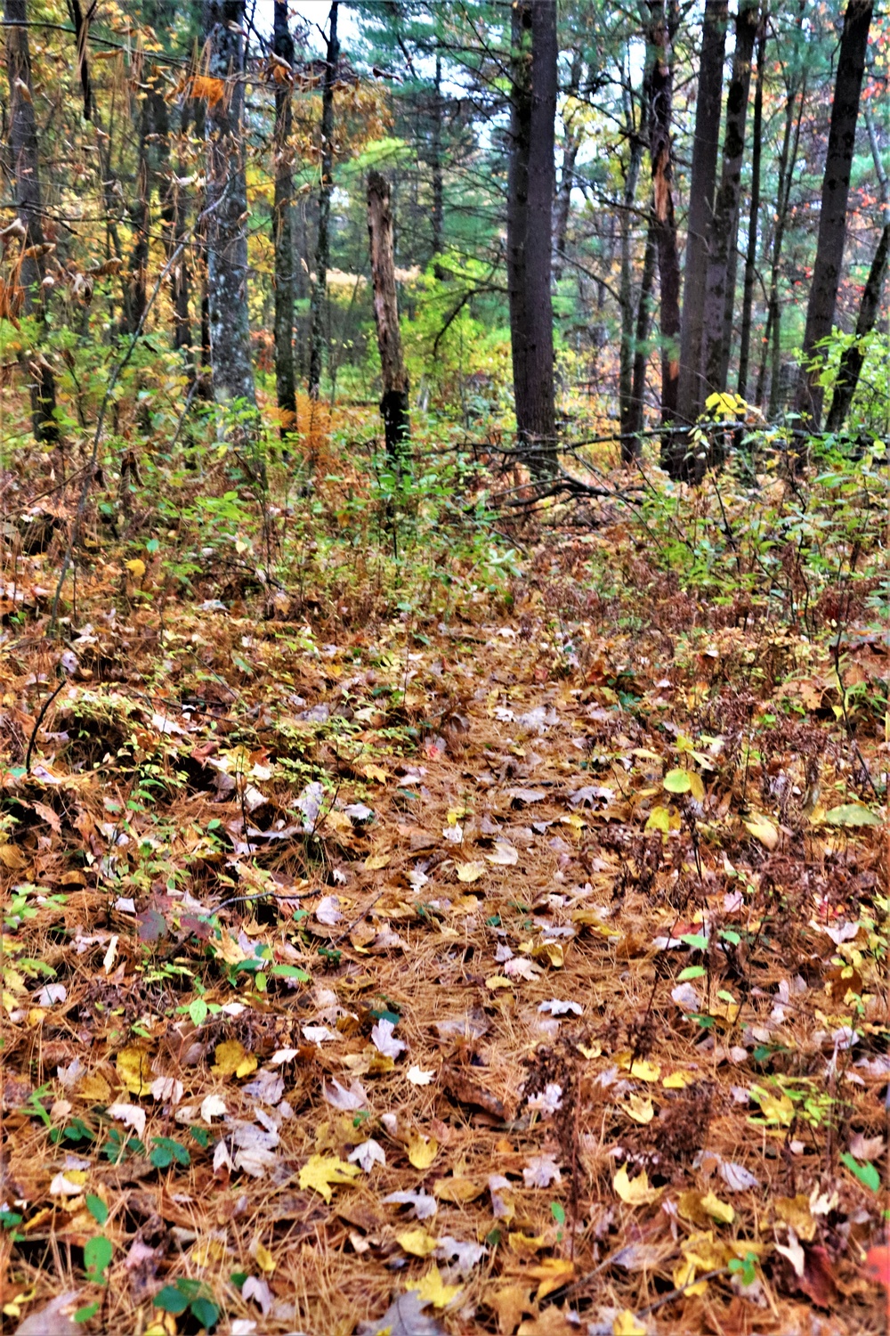 Fort McCoy's Pine View Recreation Area