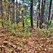 Fort McCoy's Pine View Recreation Area