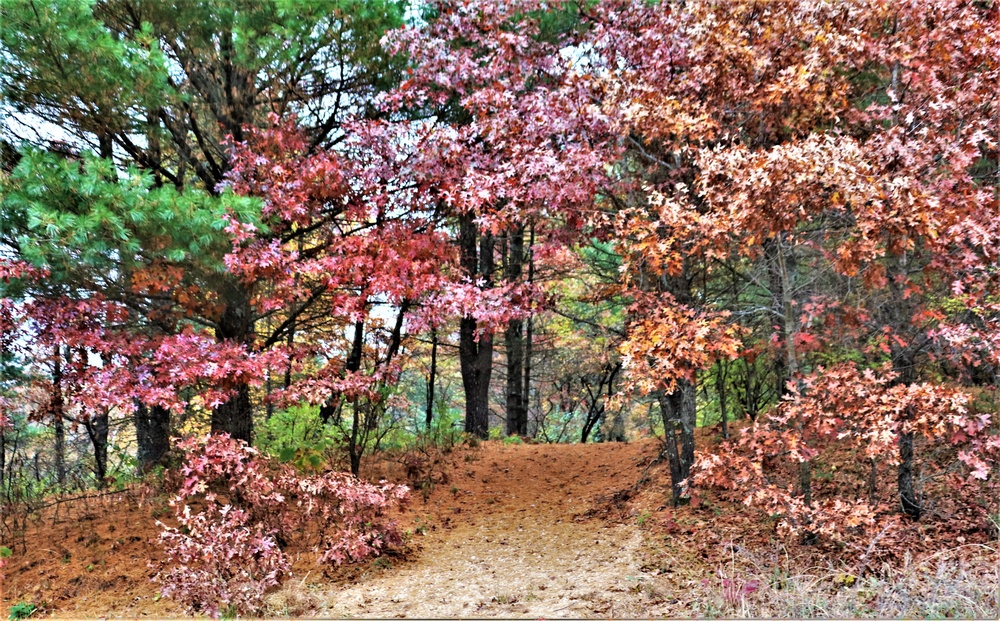 Fort McCoy's Pine View Recreation Area