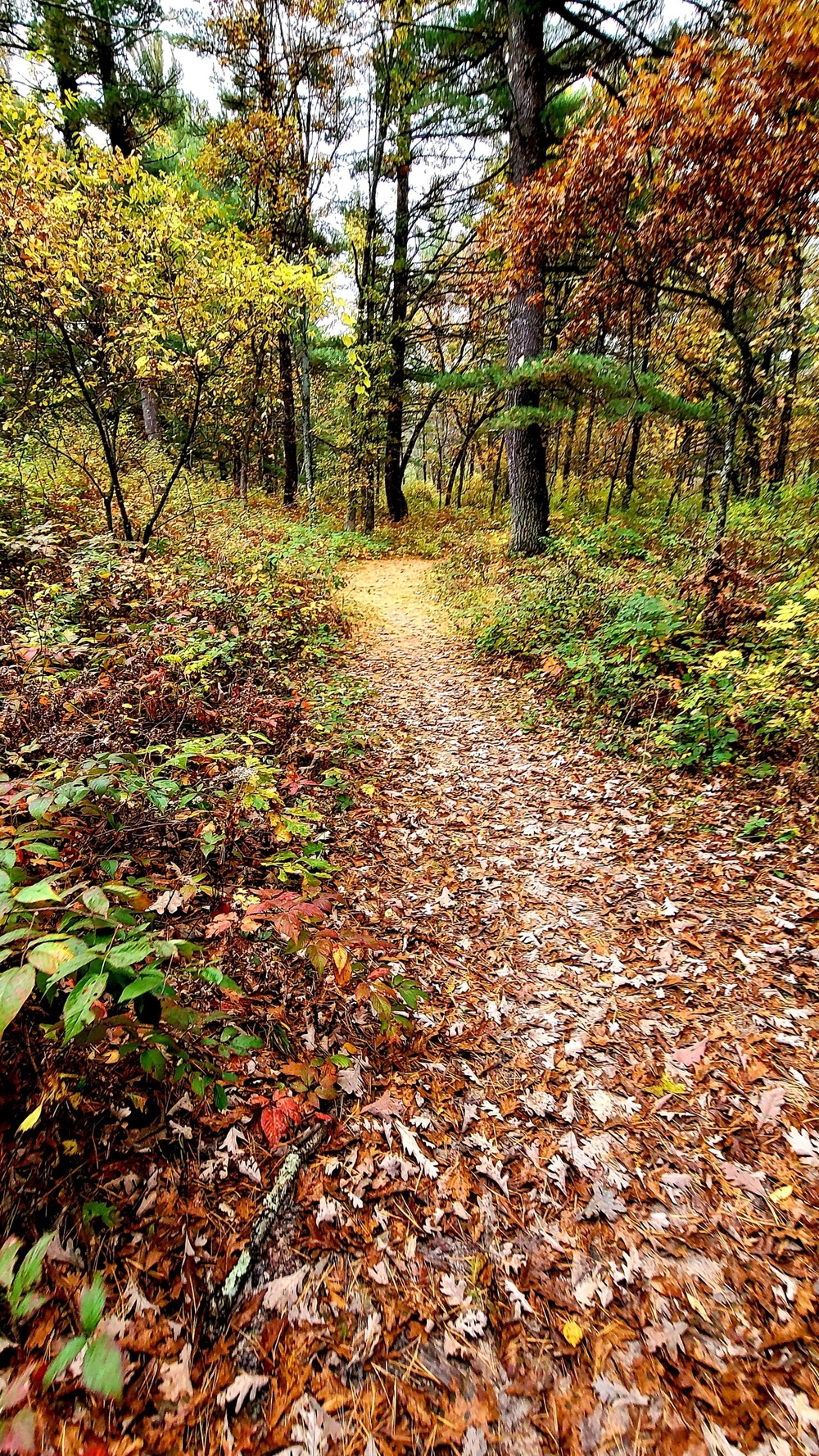 Fort McCoy's Pine View Recreation Area