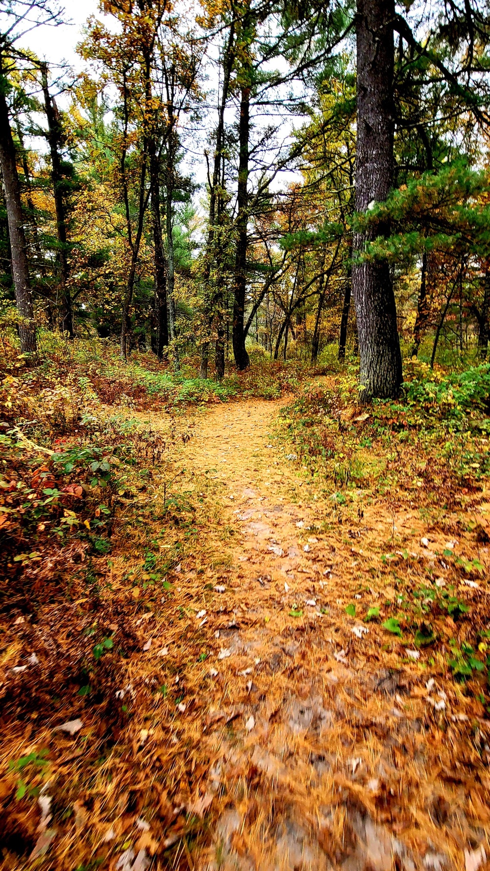 Fort McCoy's Pine View Recreation Area