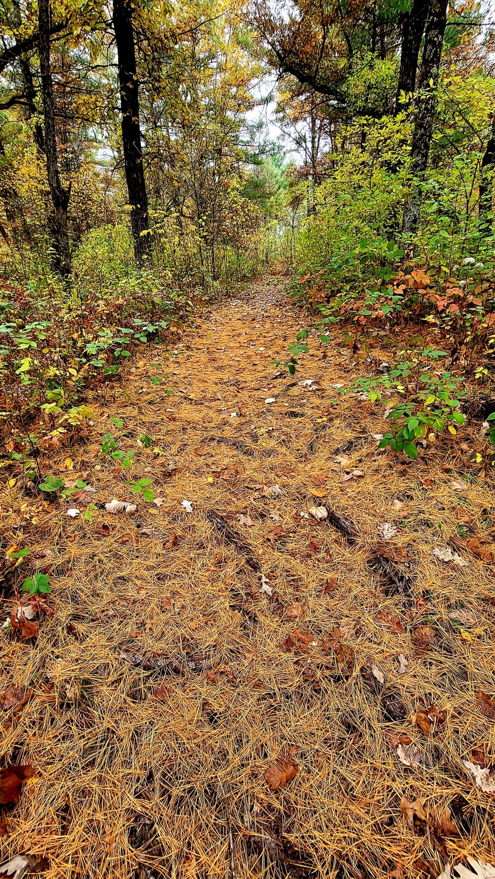 Fort McCoy's Pine View Recreation Area