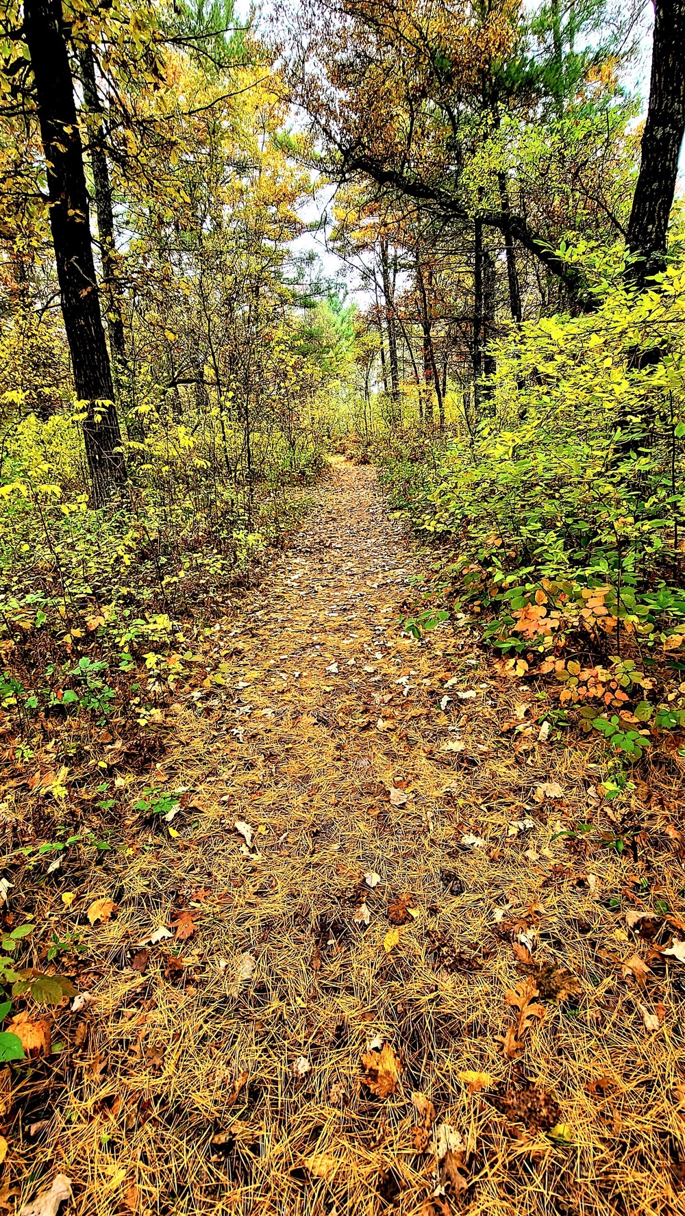 Fort McCoy's Pine View Recreation Area