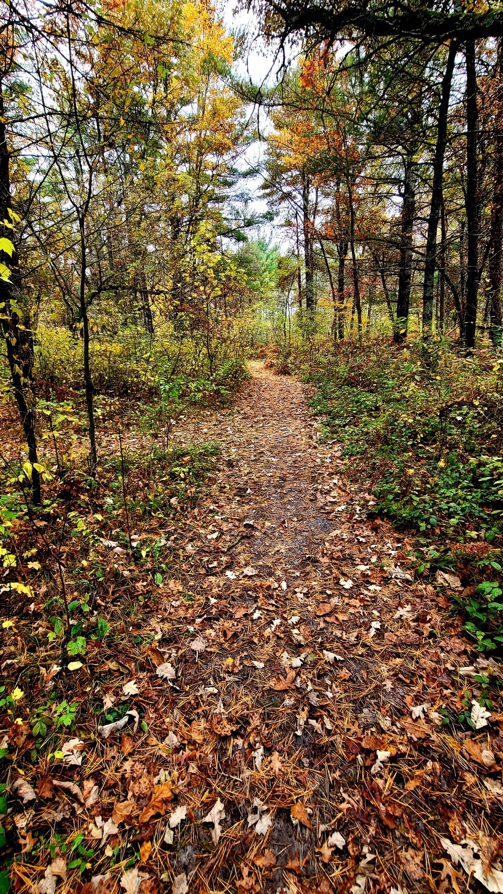 Fort McCoy's Pine View Recreation Area