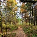 Fort McCoy's Pine View Recreation Area