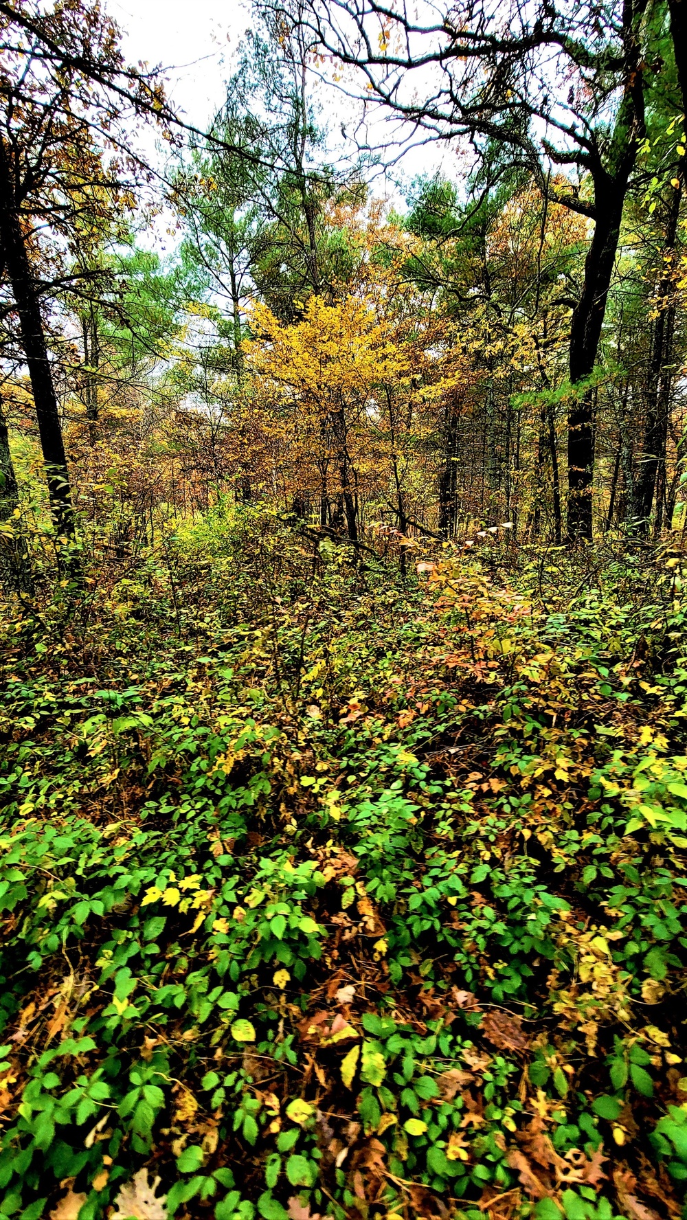 Fort McCoy's Pine View Recreation Area