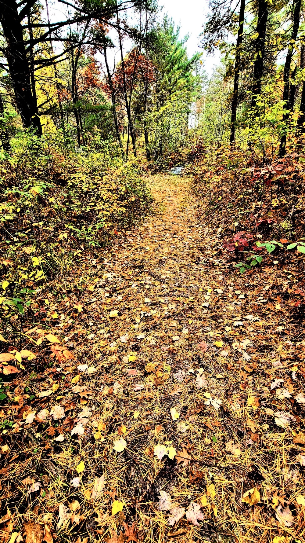 Fort McCoy's Pine View Recreation Area