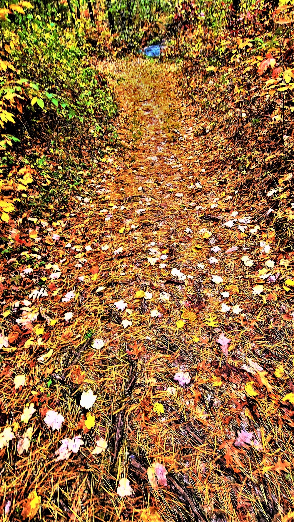 Fort McCoy's Pine View Recreation Area