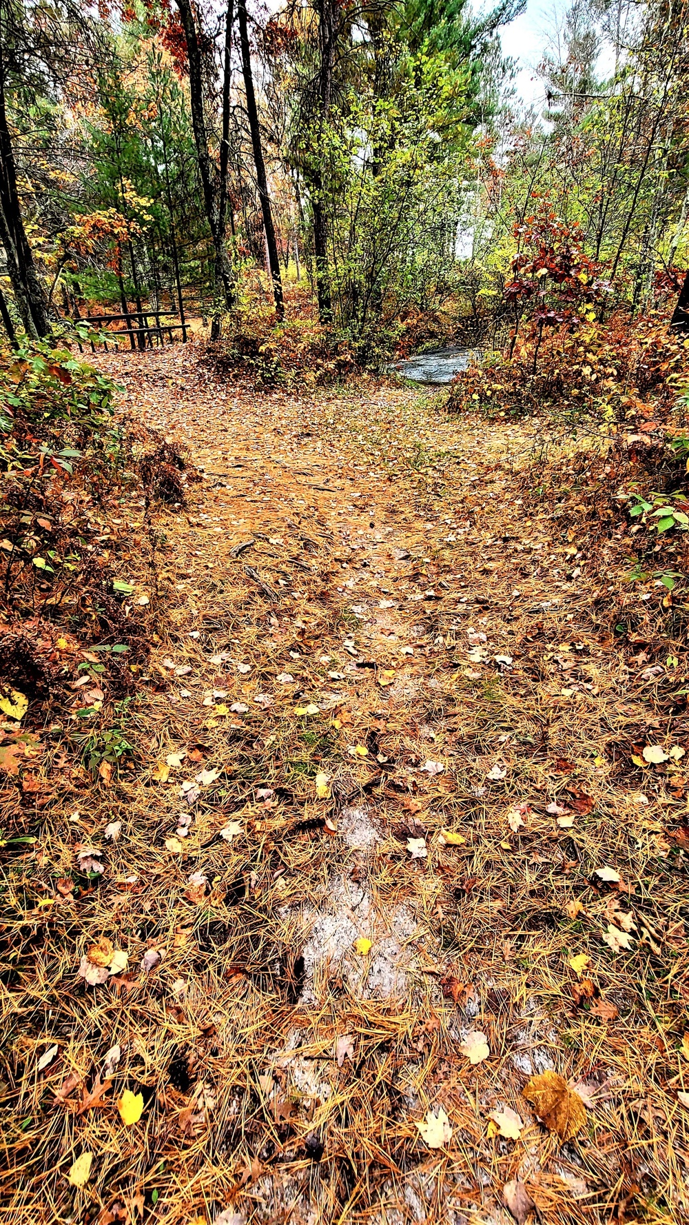 Fort McCoy's Pine View Recreation Area