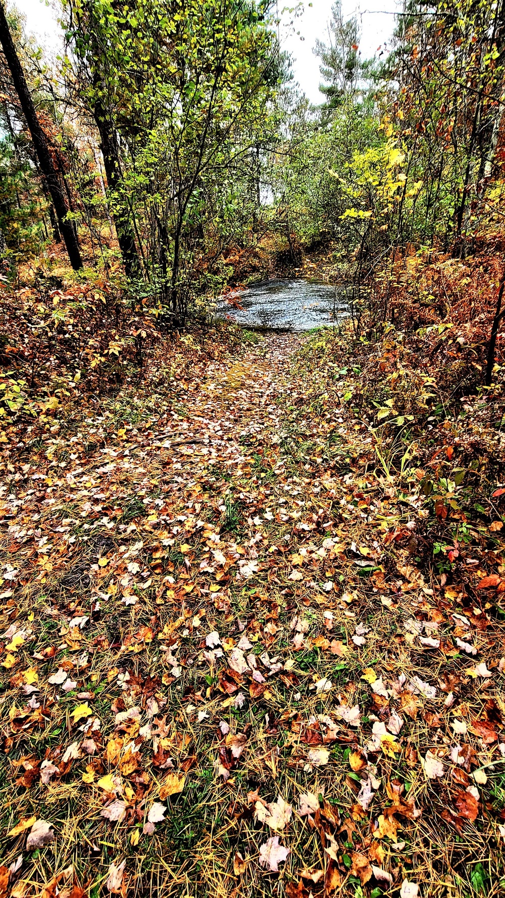 Fort McCoy's Pine View Recreation Area