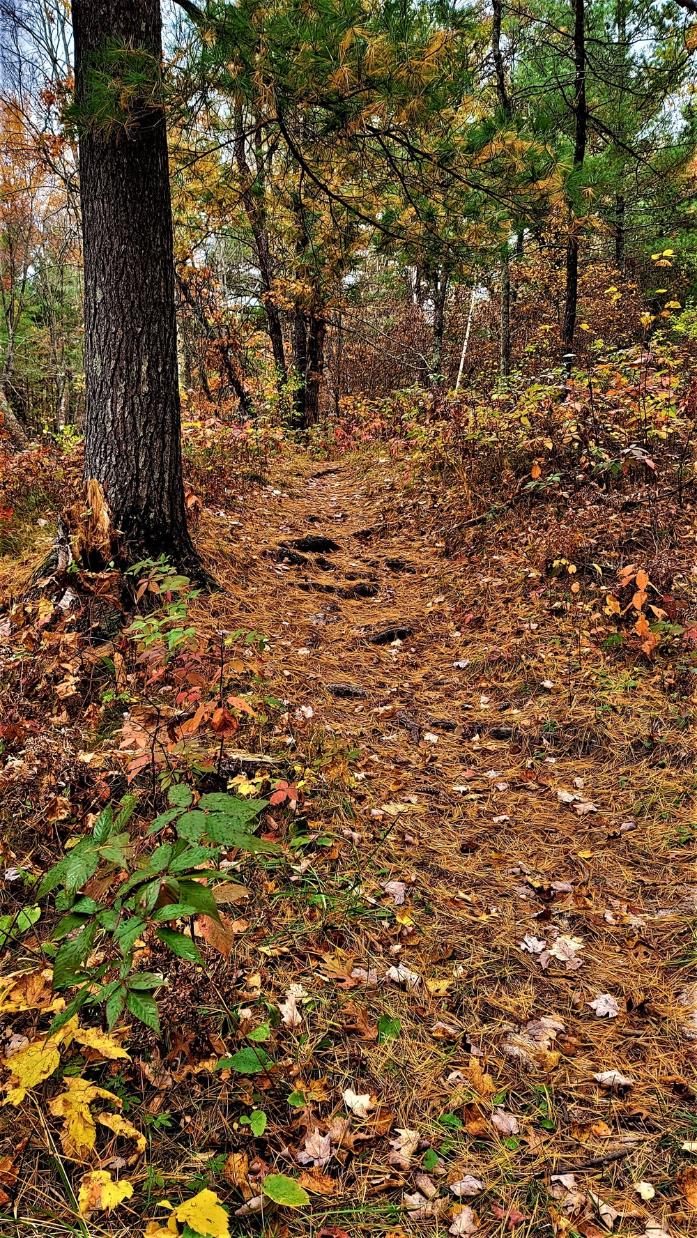 Fort McCoy's Pine View Recreation Area