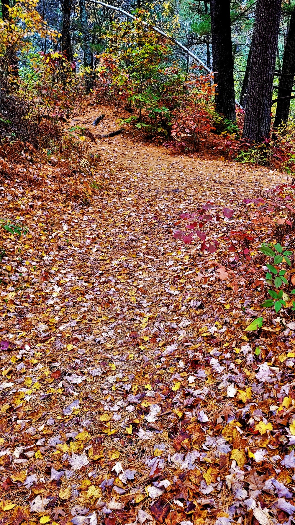 Fort McCoy's Pine View Recreation Area