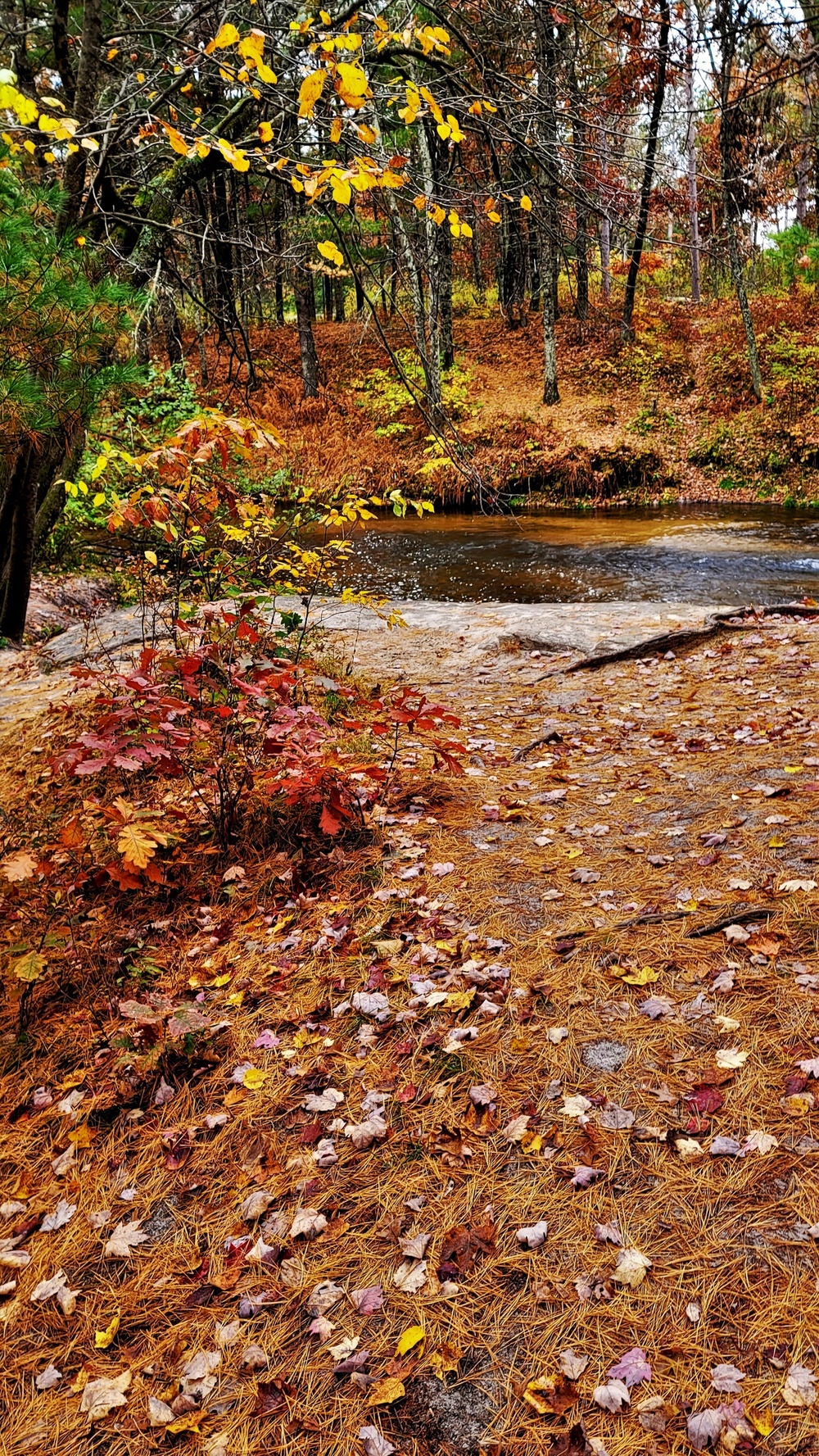 Fort McCoy's Pine View Recreation Area