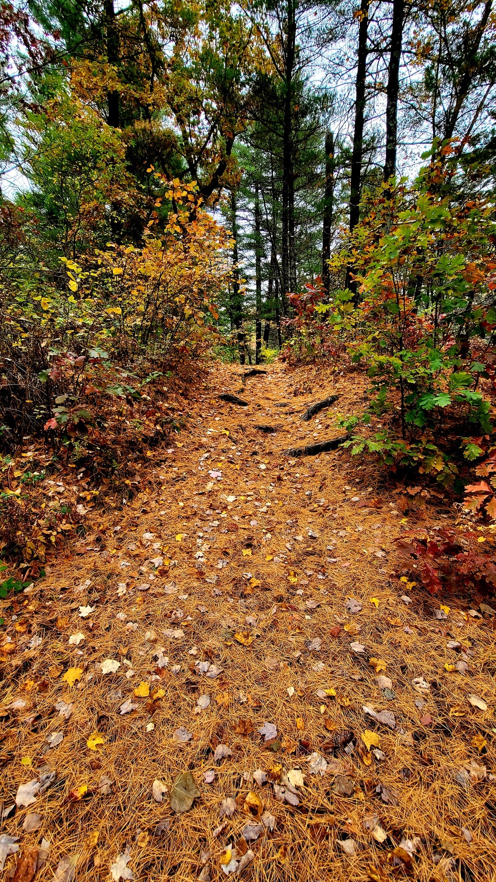 Fort McCoy's Pine View Recreation Area