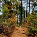 Fort McCoy's Pine View Recreation Area