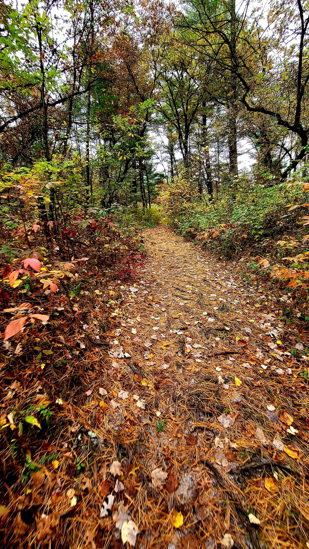 Fort McCoy's Pine View Recreation Area