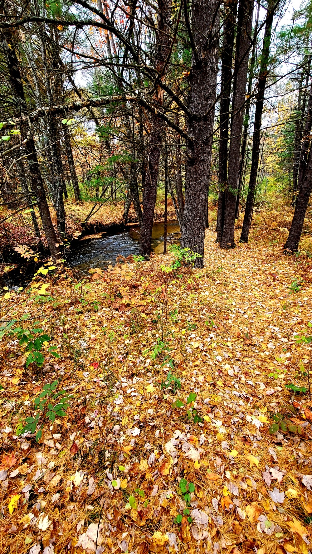 Fort McCoy's Pine View Recreation Area