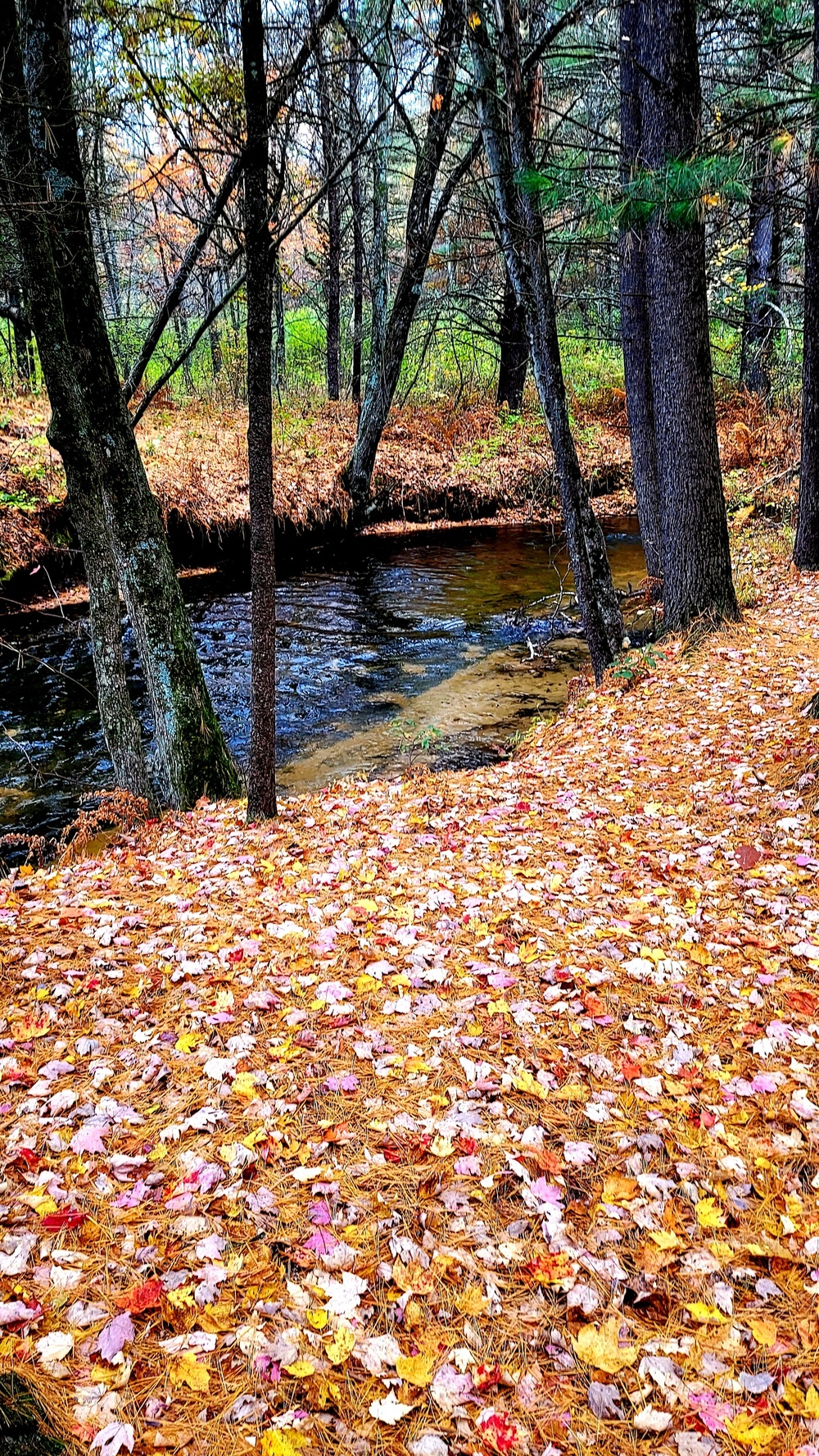 Fort McCoy's Pine View Recreation Area