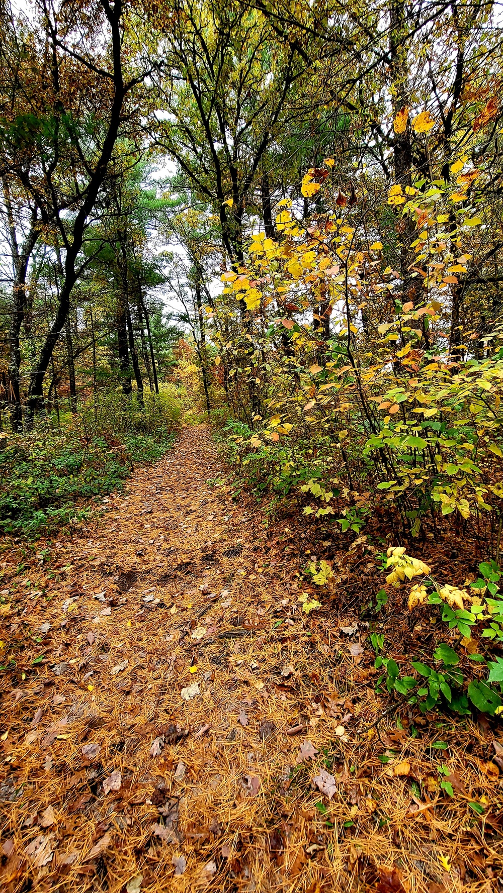 Fort McCoy's Pine View Recreation Area