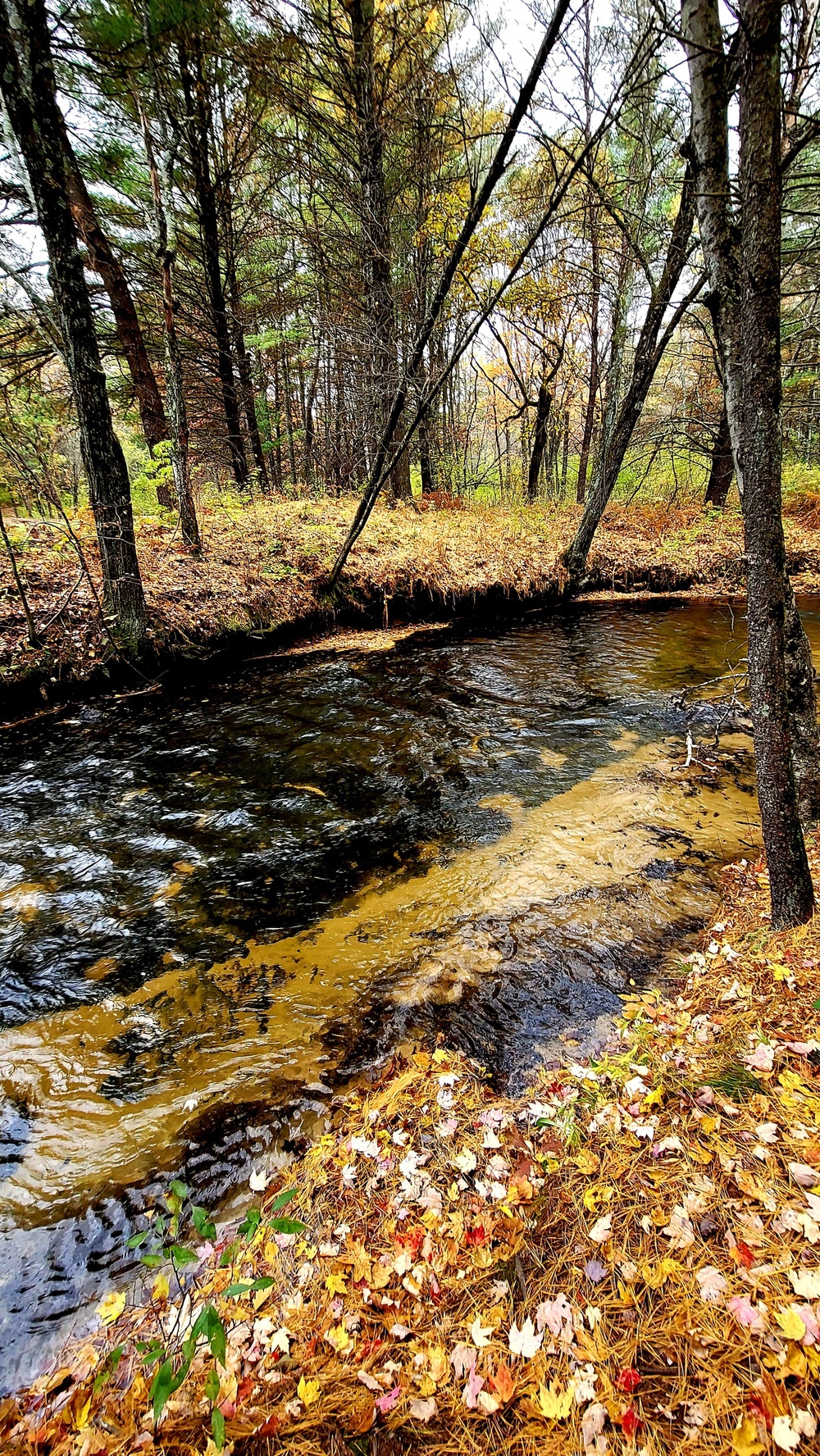 Fort McCoy's Pine View Recreation Area