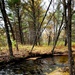 Fort McCoy's Pine View Recreation Area