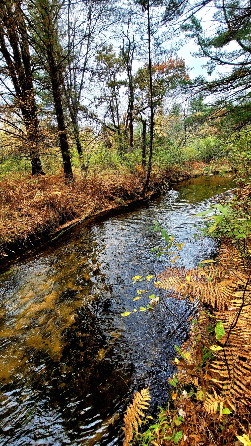 Fort McCoy's Pine View Recreation Area