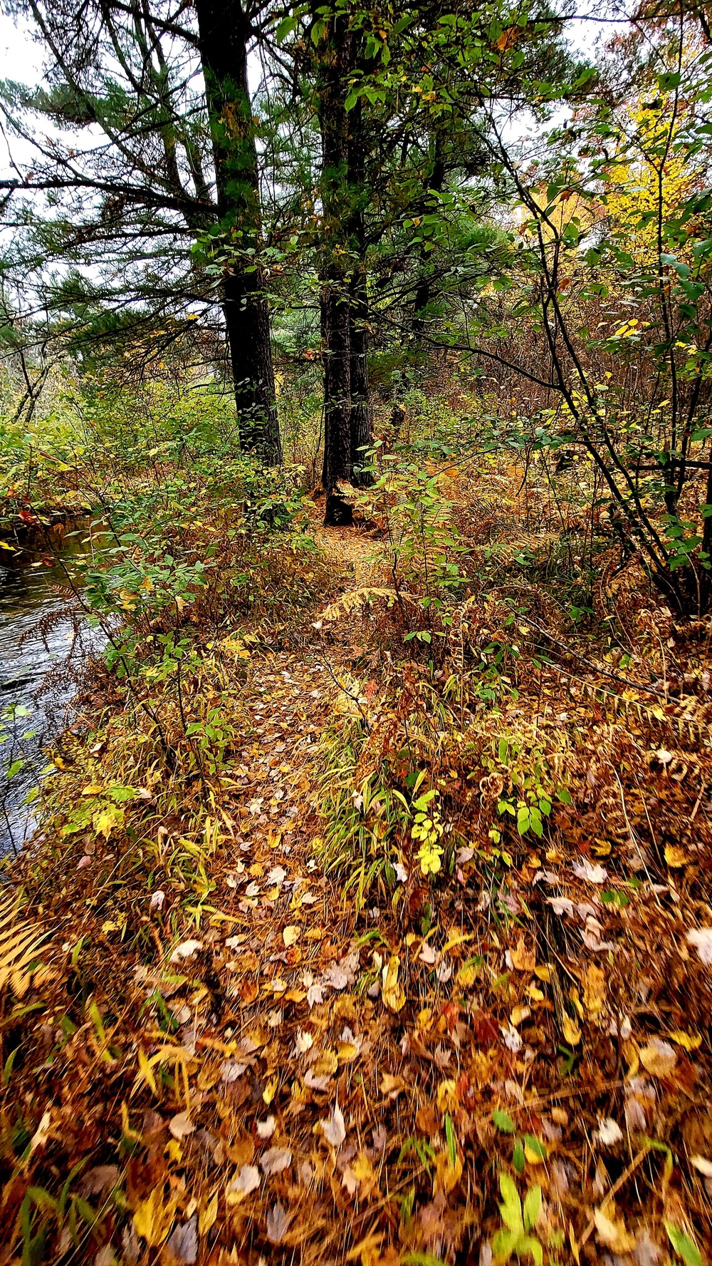 Fort McCoy's Pine View Recreation Area