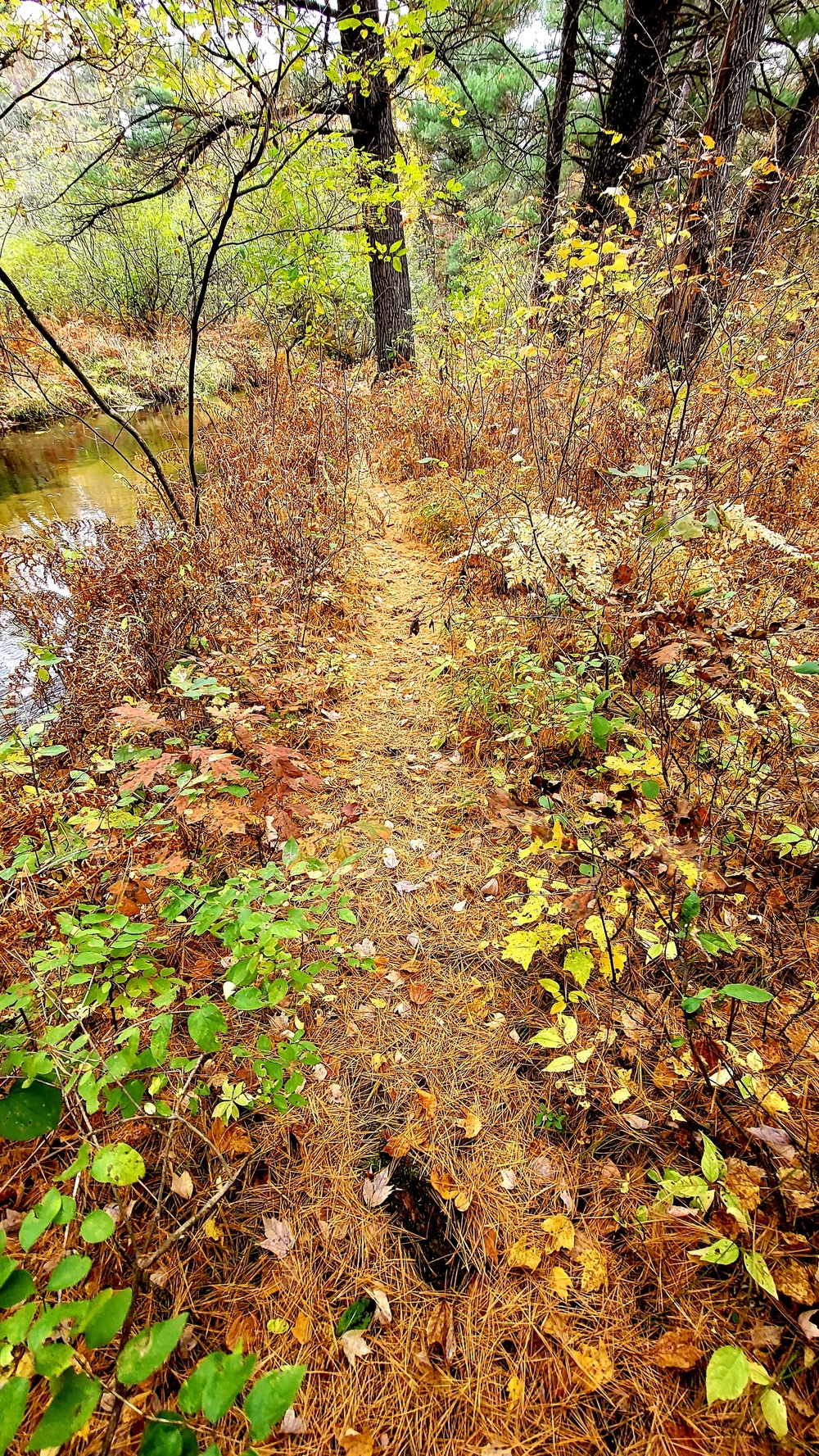 Fort McCoy's Pine View Recreation Area