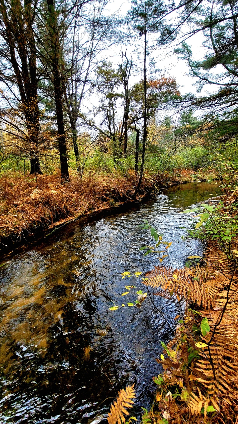 Fort McCoy's Pine View Recreation Area