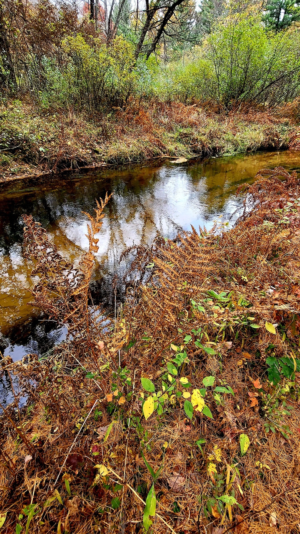 Fort McCoy's Pine View Recreation Area