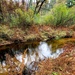 Fort McCoy's Pine View Recreation Area