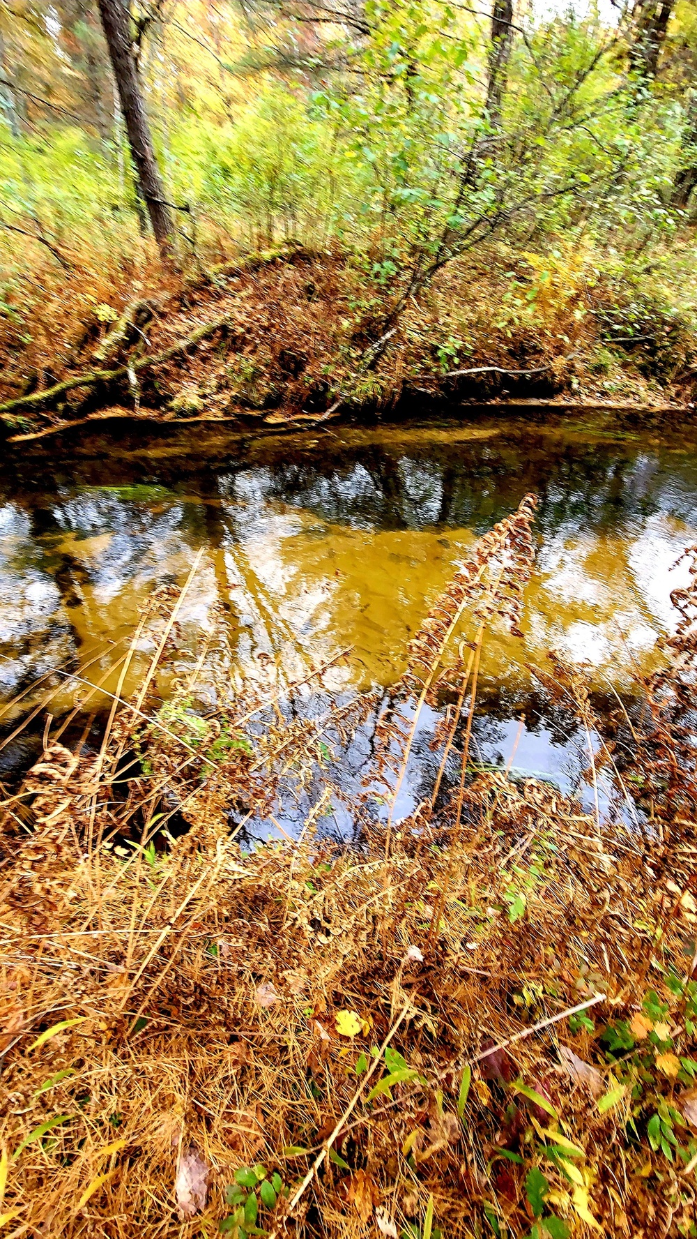 Fort McCoy's Pine View Recreation Area