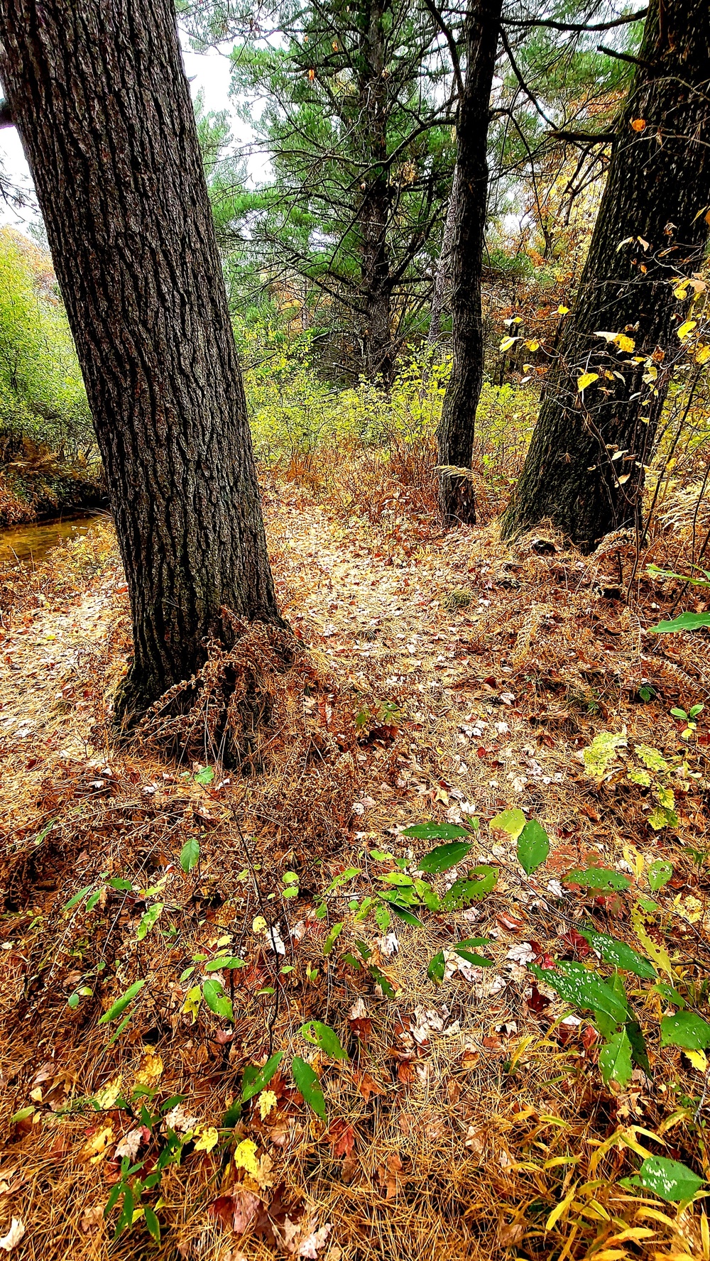 Fort McCoy's Pine View Recreation Area