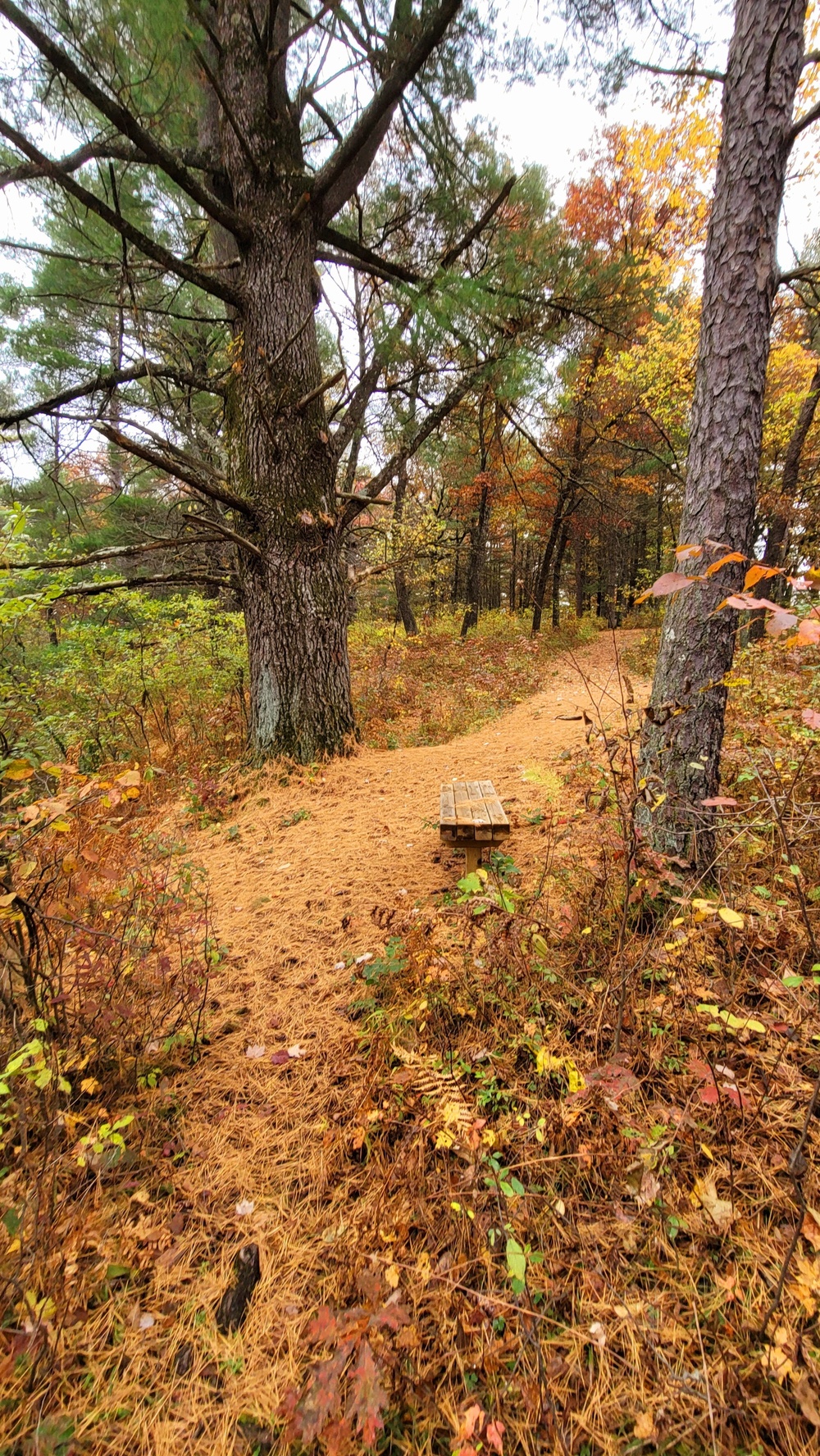 Fort McCoy's Pine View Recreation Area