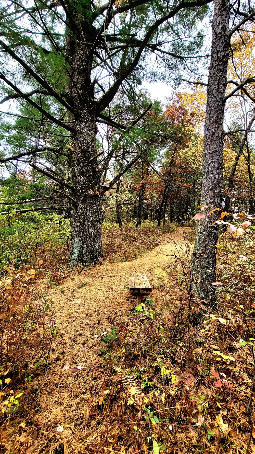 Fort McCoy's Pine View Recreation Area