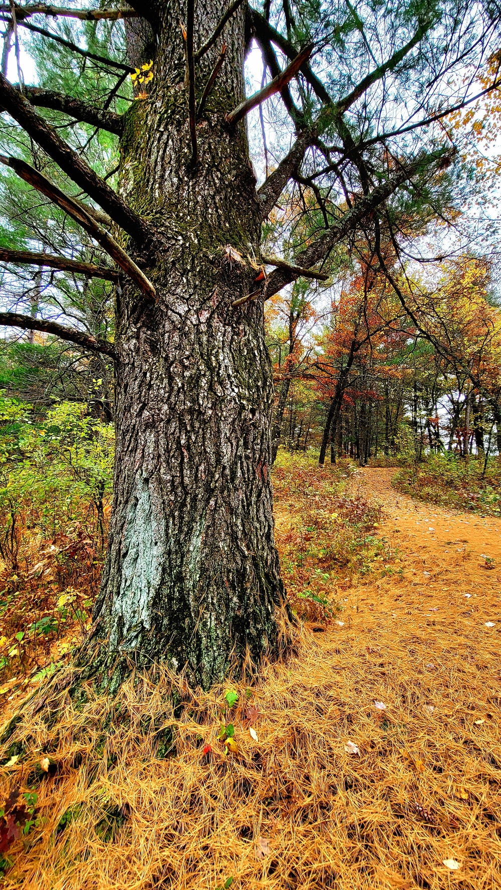 Fort McCoy's Pine View Recreation Area