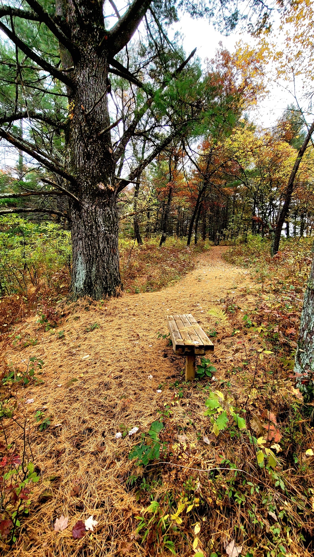 Fort McCoy's Pine View Recreation Area