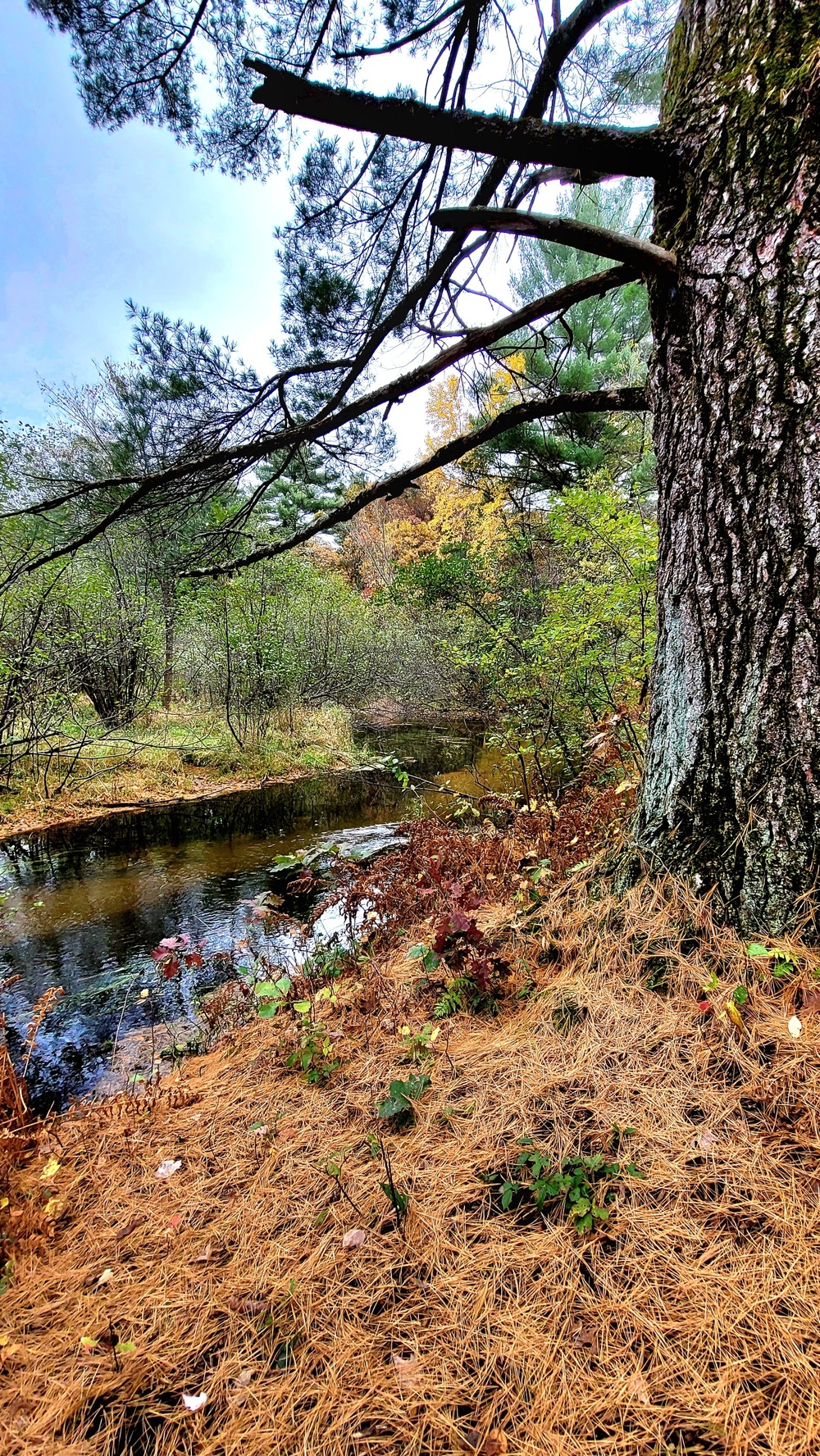 Fort McCoy's Pine View Recreation Area